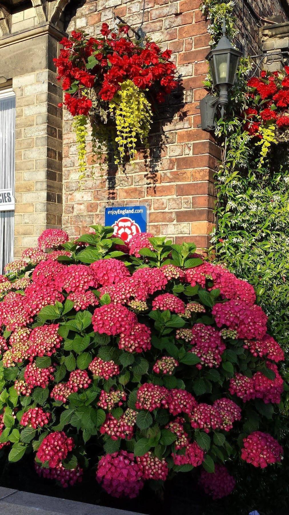 Barbican House Guest house York